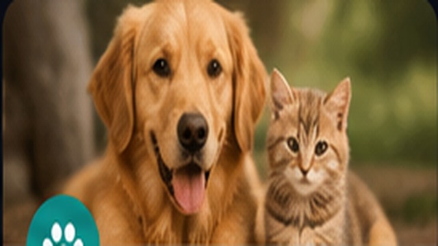 Are automatic litter boxes worth it?